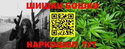 стафф Лесосибирск