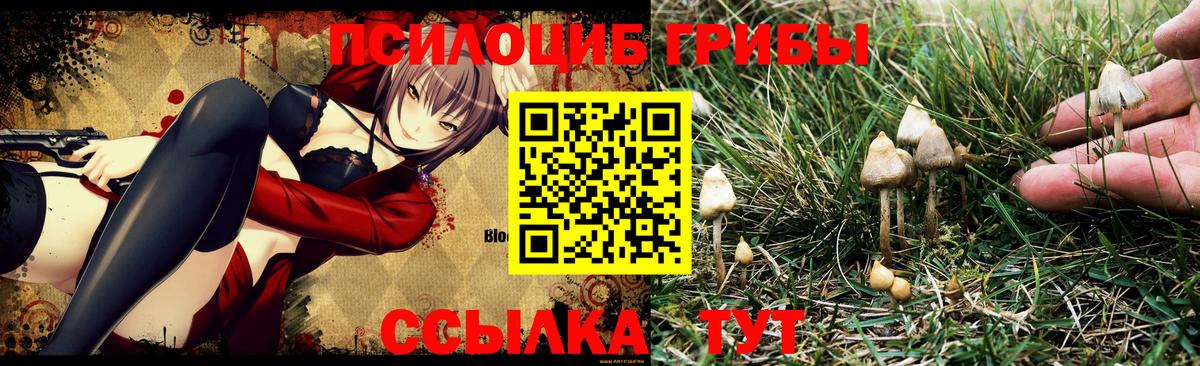 Галлюциногенные грибы Magic Shrooms  Вход с VPN  Ижевск 