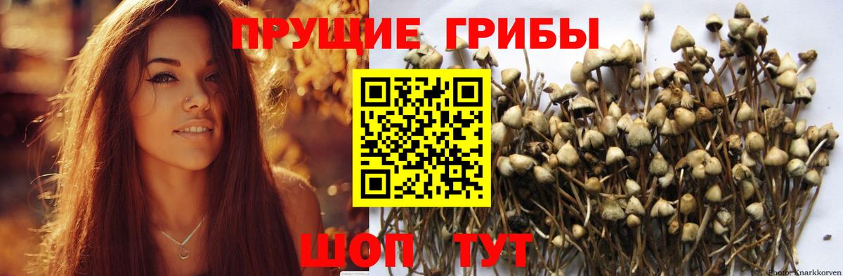 Галлюциногенные грибы мухоморы Ижевск